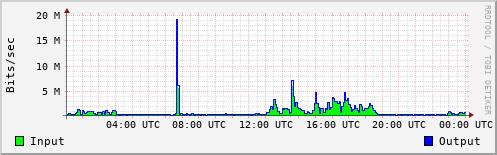 Network Activity
