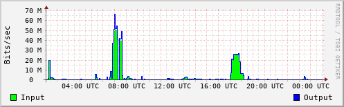 Network Activity