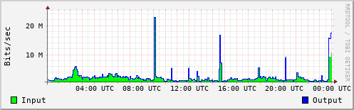 Network Activity