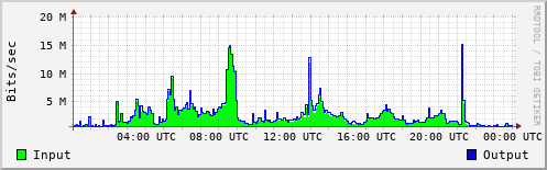 Network Activity