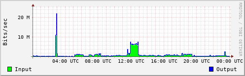 Network Activity