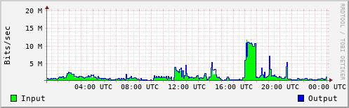 Network Activity