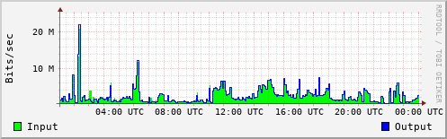 Network Activity