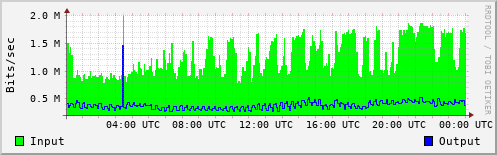 Network Activity