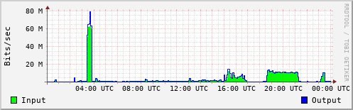 Network Activity