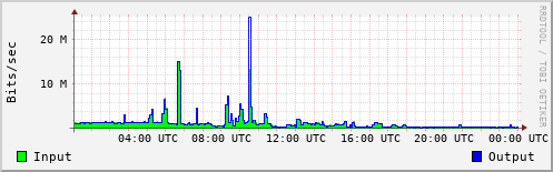 Network Activity