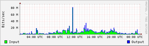 Network Activity