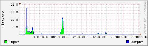 Network Activity