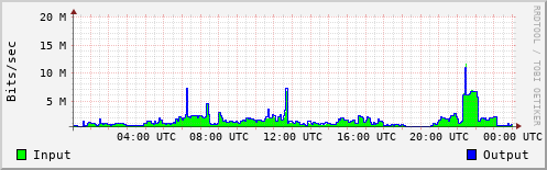 Network Activity