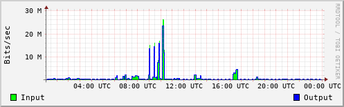 Network Activity