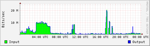 Network Activity