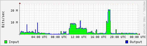 Network Activity