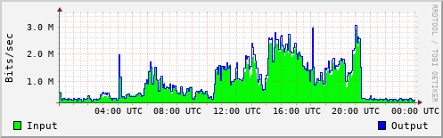 Network Activity