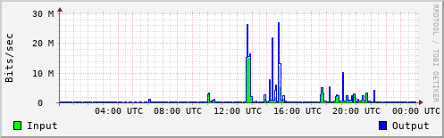 Network Activity