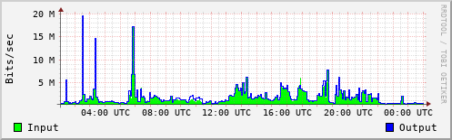 Network Activity