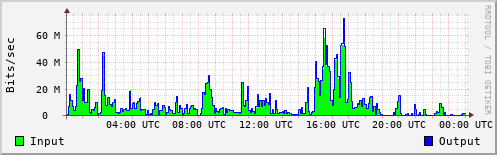 Network Activity