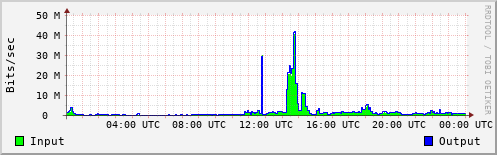 Network Activity