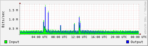 Network Activity