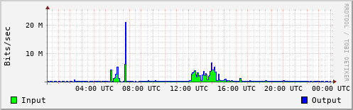 Network Activity