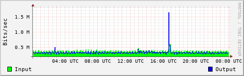 Network Activity