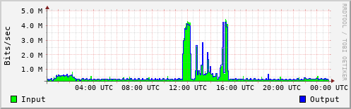 Network Activity