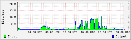 Network Activity