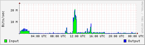 Network Activity