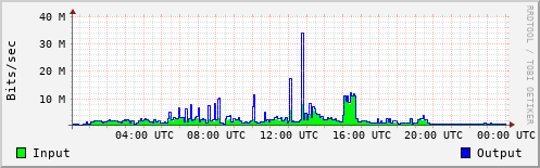 Network Activity