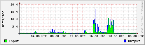 Network Activity
