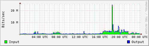 Network Activity