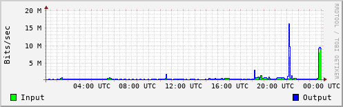 Network Activity