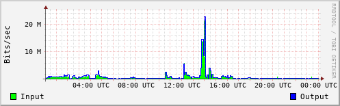 Network Activity