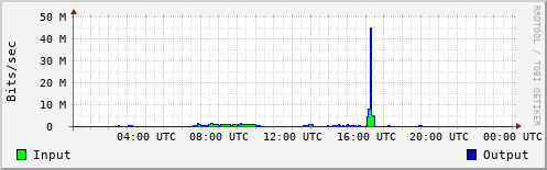 Network Activity