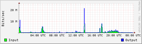 Network Activity