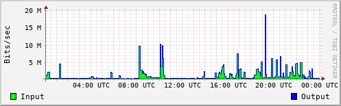 Network Activity