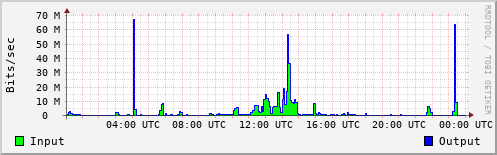 Network Activity
