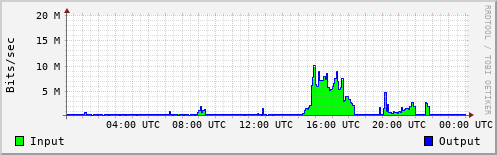 Network Activity