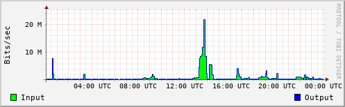 Network Activity