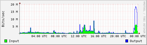 Network Activity