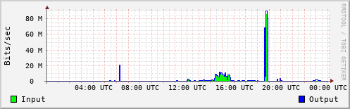 Network Activity
