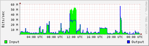 Network Activity