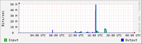 Network Activity
