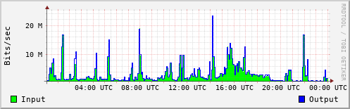 Network Activity