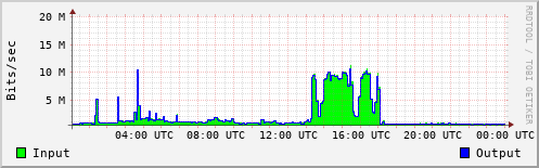 Network Activity