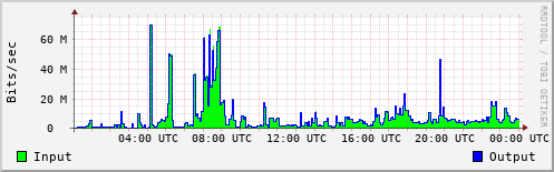 Network Activity