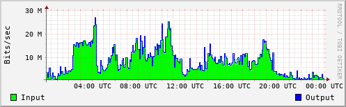 Network Activity