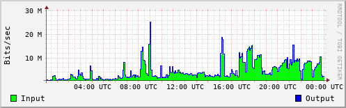 Network Activity