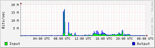 Network Activity