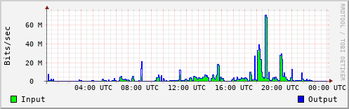 Network Activity