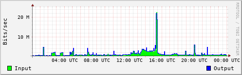 Network Activity